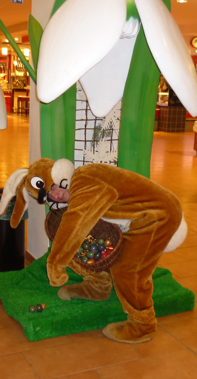 Ostern kommt der Osterhase